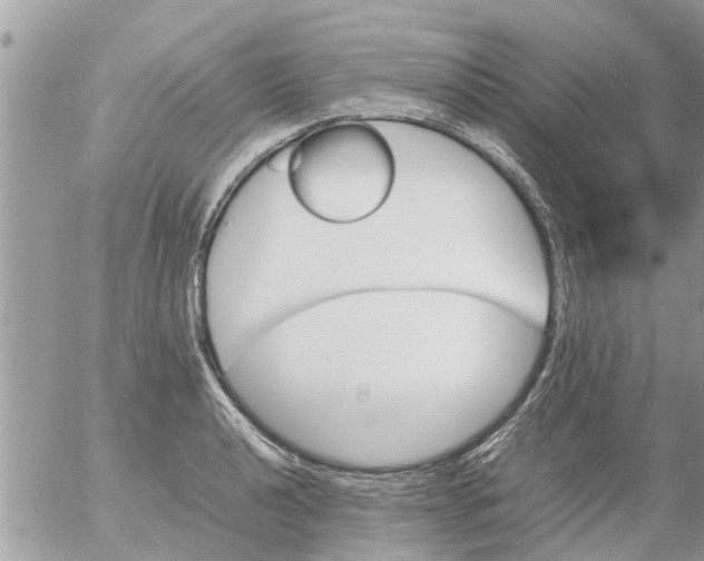 X0000054431040200508262342