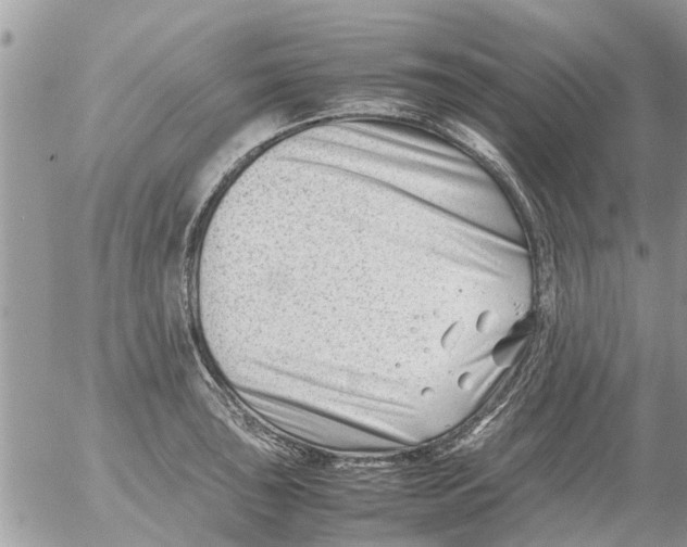 X0000054431043200508262342