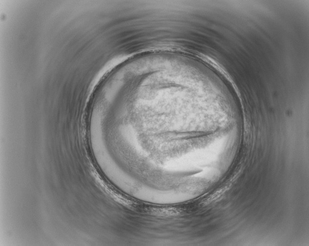 X0000054431045200508262342