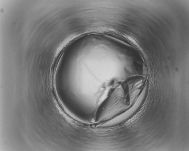 X0000054431046200508262342