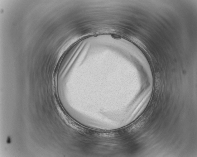 X0000054431047200508262342