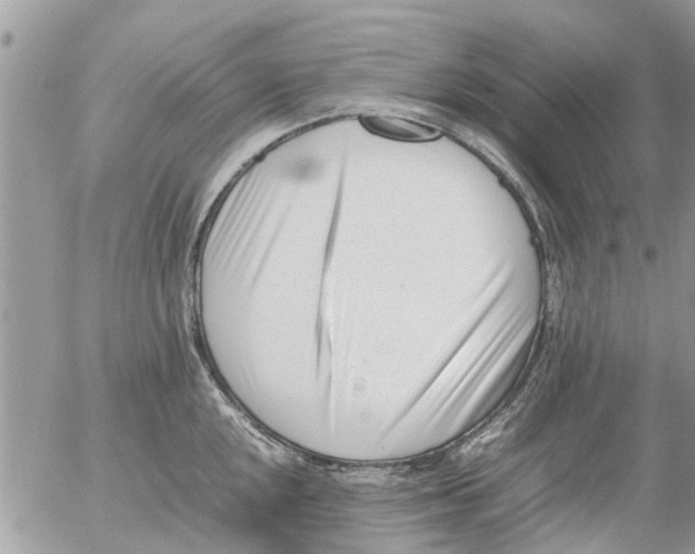 X0000054431048200508262342