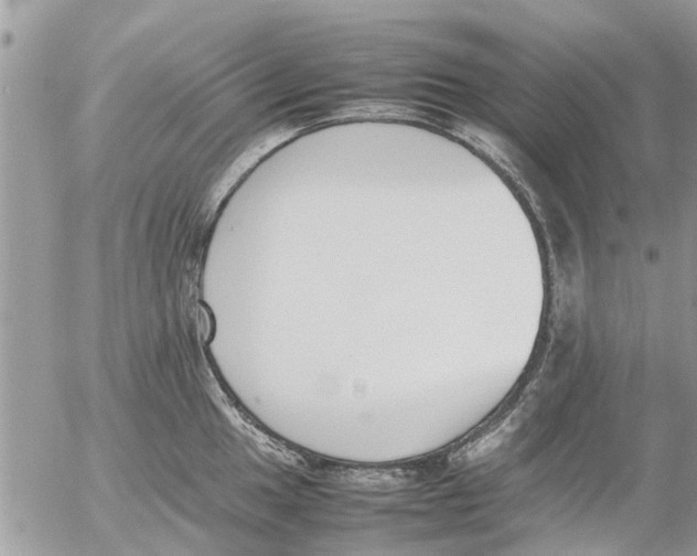 X0000054431049200508262342