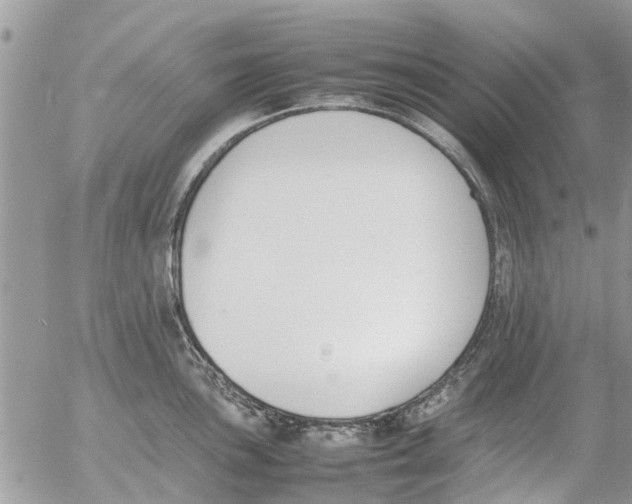 X0000054431051200508262342