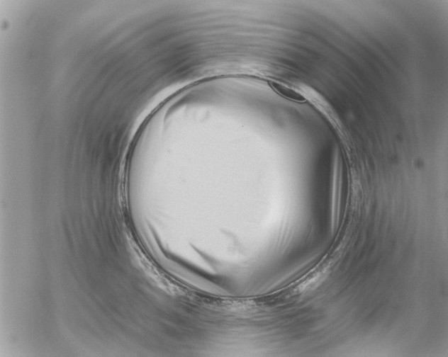 X0000054431052200508262342