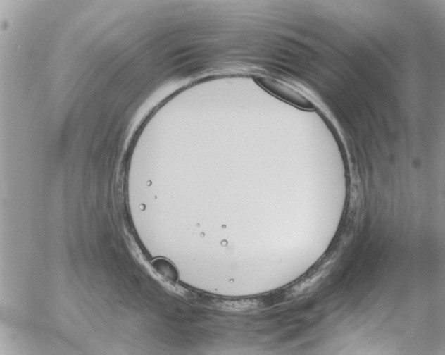 X0000054431053200508262342