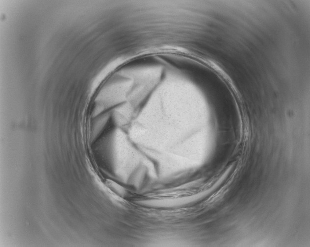 X0000054431054200508262342