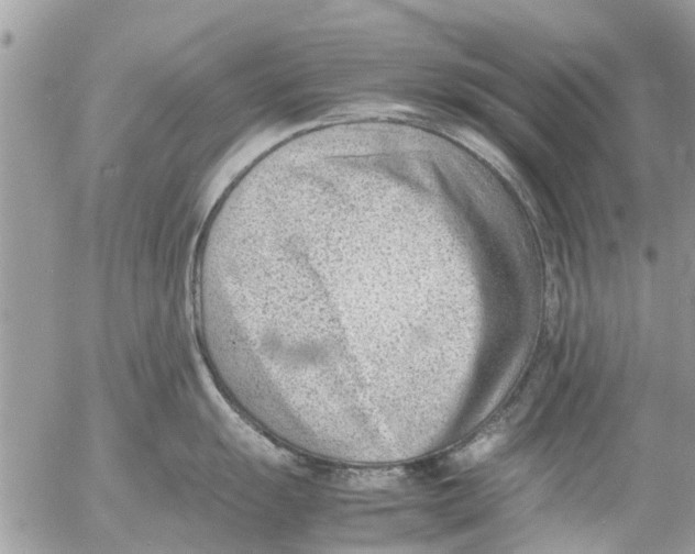 X0000054431055200508262342