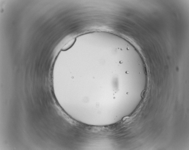 X0000054431056200508262342