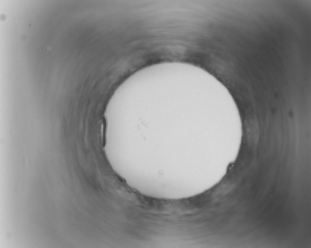 X0000054431057200508262342