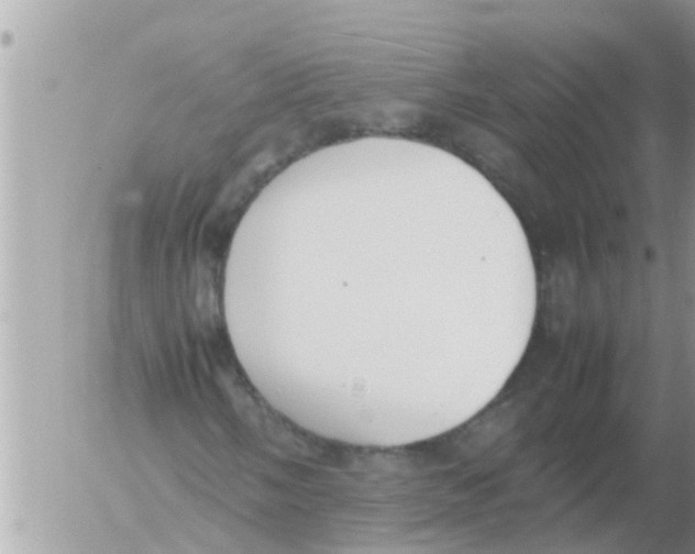 X0000054431058200508262342