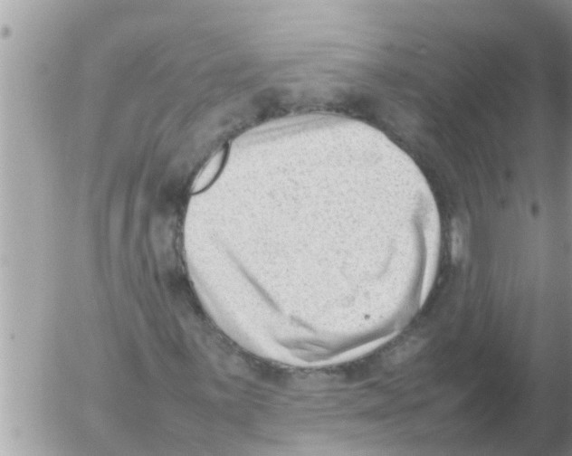 X0000054431059200508262342