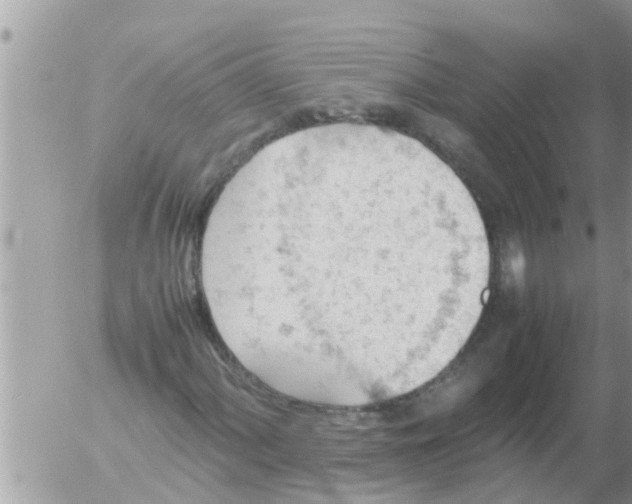 X0000054431060200508262342