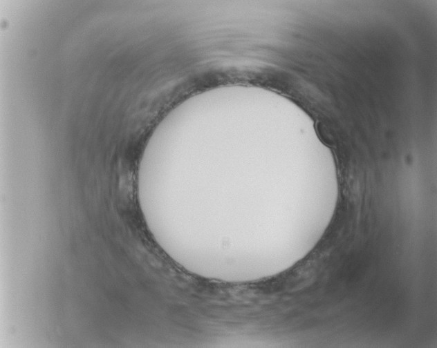 X0000054431061200508262342