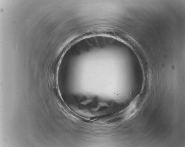 X0000054431065200508262342