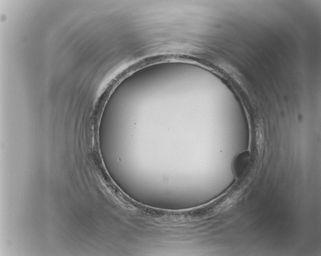 X0000054431069200508262341