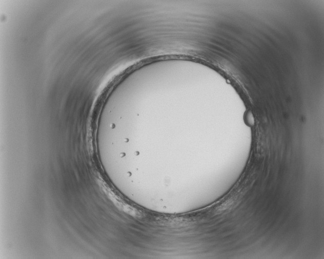 X0000054431072200508262341