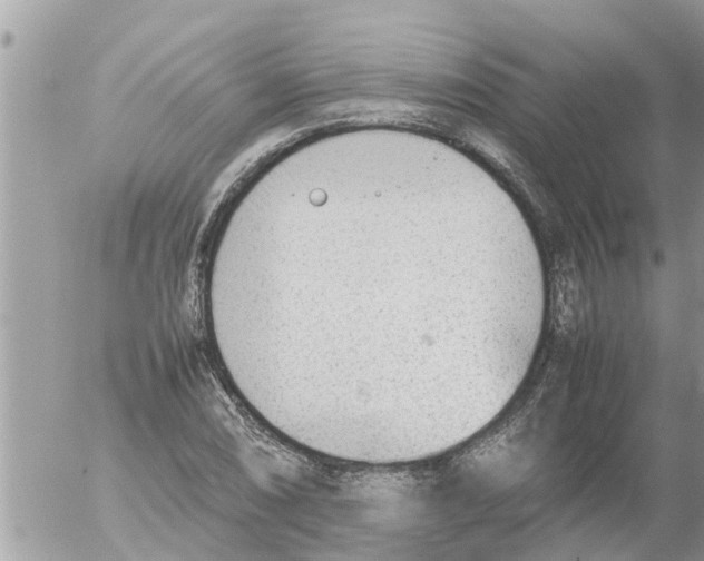 X0000054431074200508262341