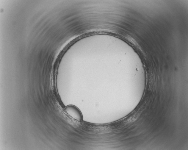 X0000054431076200508262341