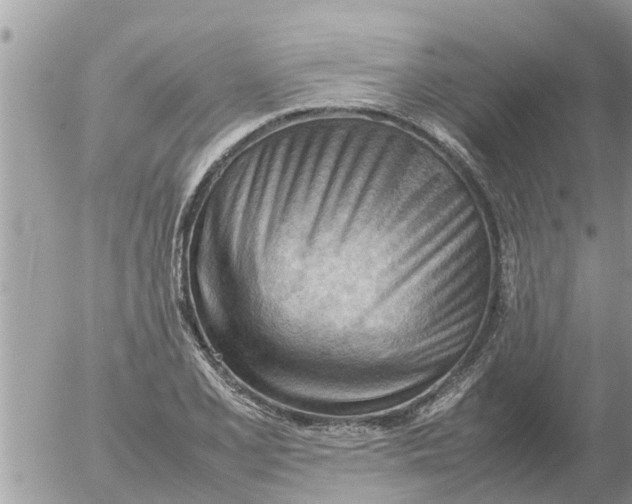 X0000054431077200508262341