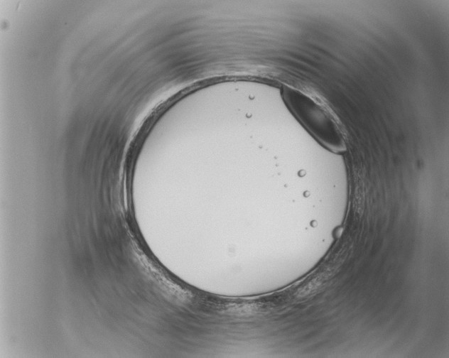 X0000054431080200508262341