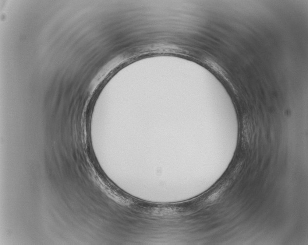 X0000054431082200508262341