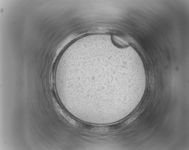 X0000054431083200508262341