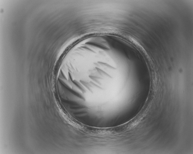 X0000054431085200508262341