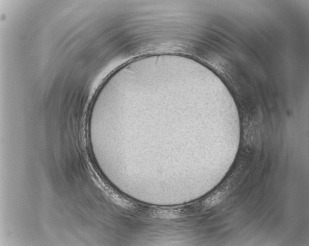 X0000054431086200508262341