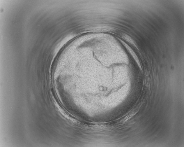 X0000054431087200508262341