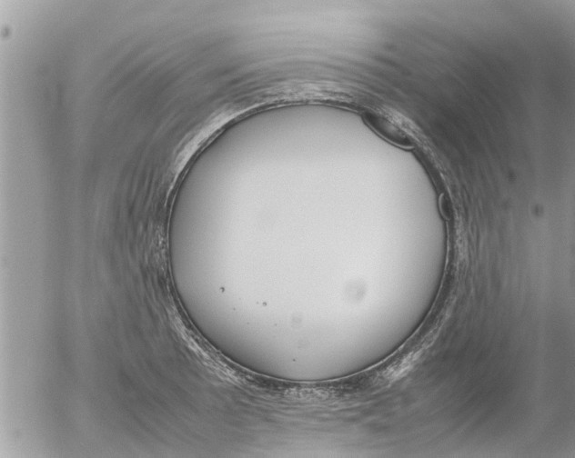 X0000054431089200508262341