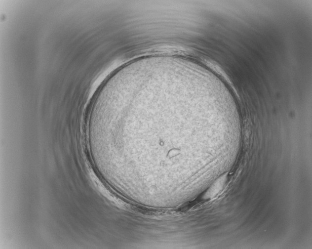 X0000054431091200508262341