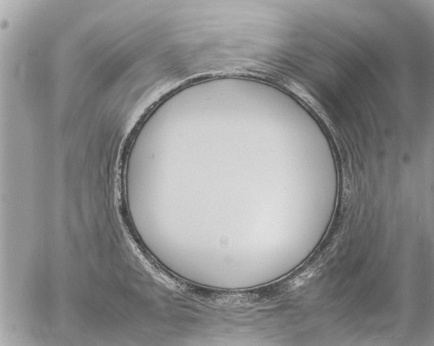 X0000054431093200508262341