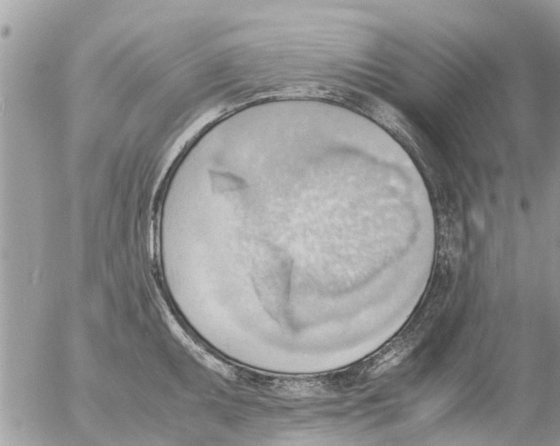 X0000054431095200508262341