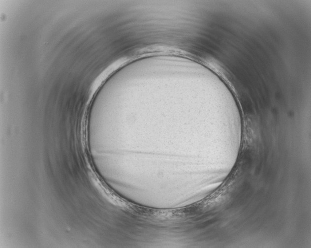 X0000054431098200508262341