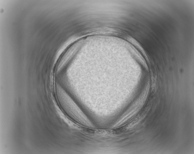 X0000054431099200508262341