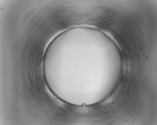 X0000054431100200508262341