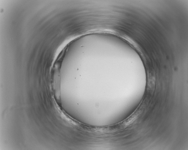 X0000054431102200508262341