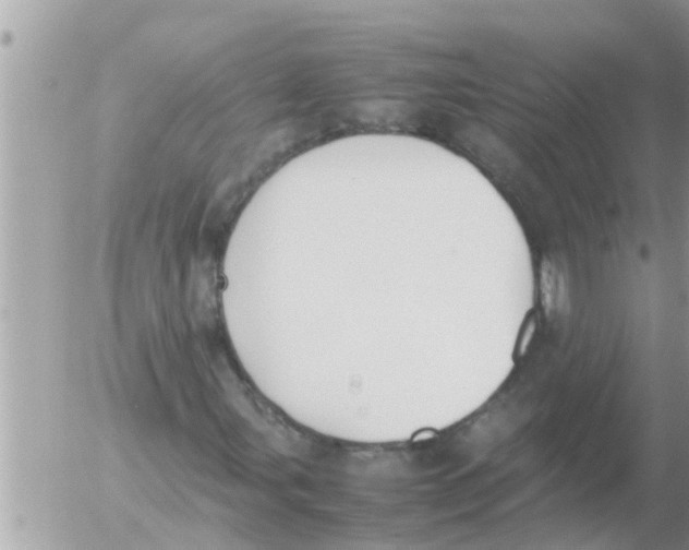 X0000054431107200508262340