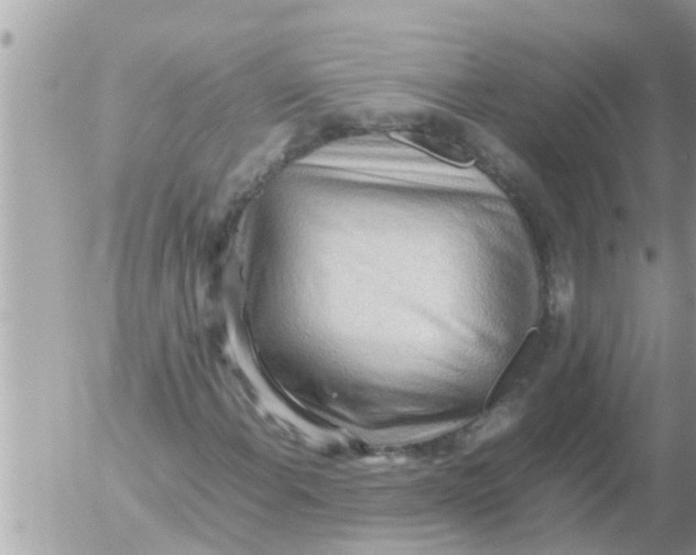 X0000054431108200508262340