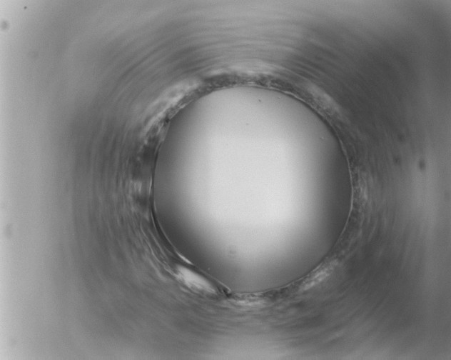 X0000054431110200508262340