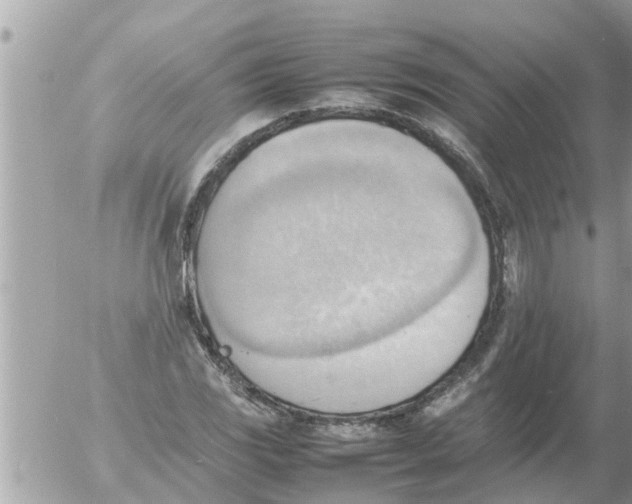 X0000054431117200508262340