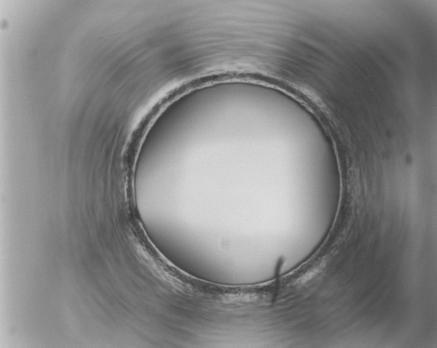 X0000054431118200508262340