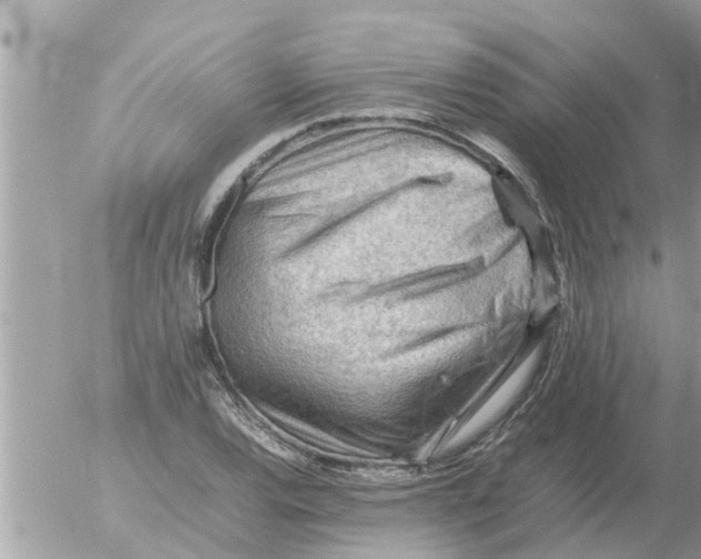 X0000054431120200508262340