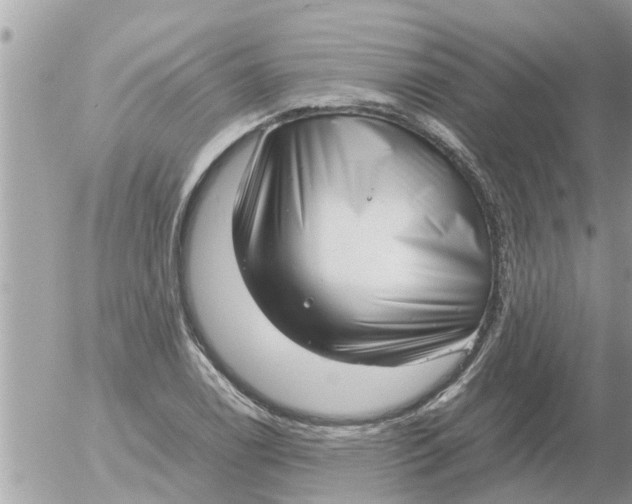 X0000054431122200508262340