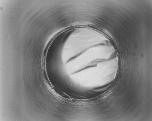 X0000054431124200508262340