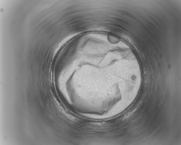 X0000054431125200508262340