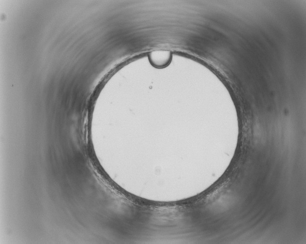 X0000054431126200508262340