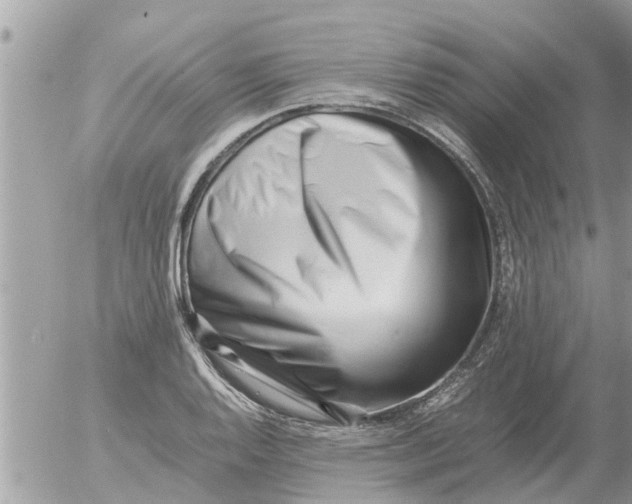 X0000054431128200508262340