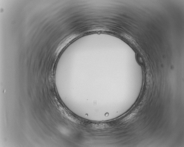 X0000054431129200508262341